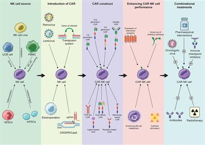 Engineered NK Cells Against Cancer and Their Potential Applications Beyond